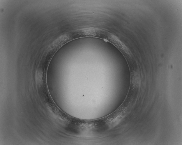 X0000084540213200703091702