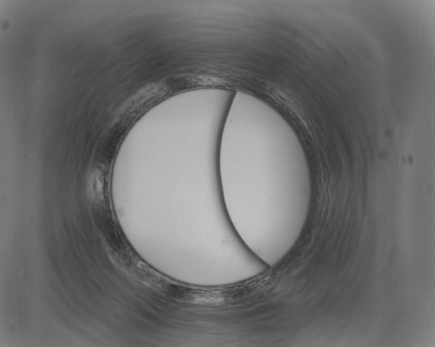 X0000084540214200703091702