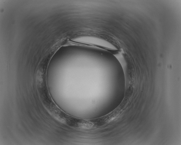 X0000084540215200703091702