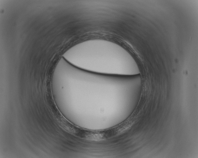 X0000084540217200703091702