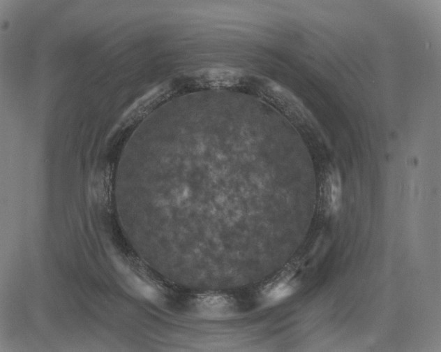 X0000084540218200703091702