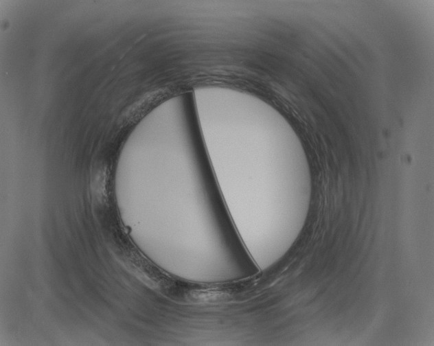 X0000084540219200703091702