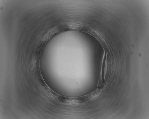 X0000084540221200703091702