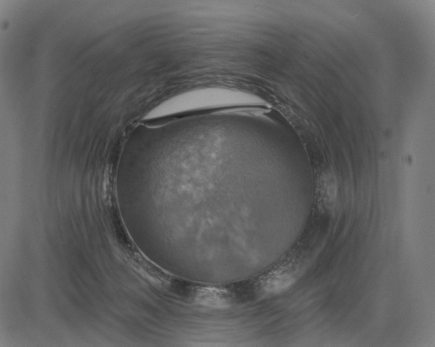 X0000084540222200703091702