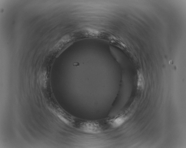 X0000084540223200703091702