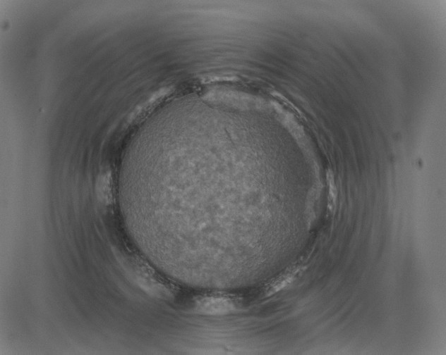 X0000084540224200703091702