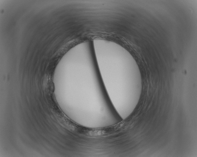 X0000084540225200703091702