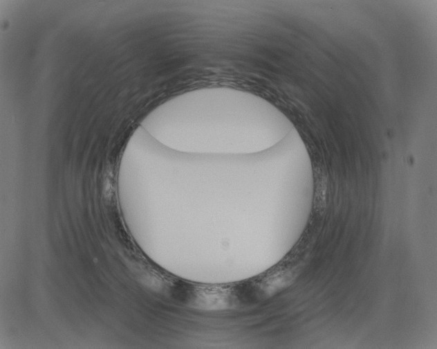 X0000084540226200703091702