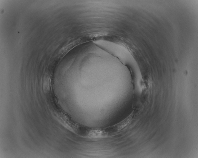 X0000084540227200703091702