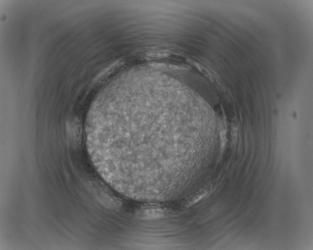 X0000084540228200703091702