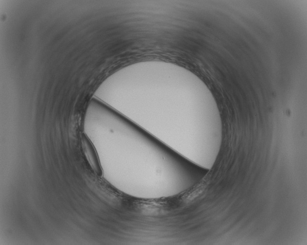 X0000084540229200703091702