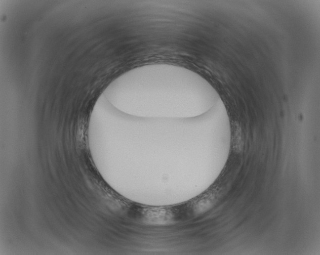 X0000084540230200703091702