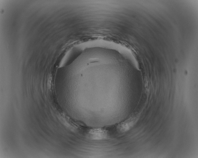 X0000084540231200703091702