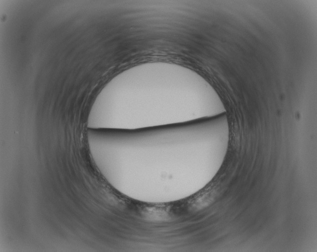 X0000084540232200703091702