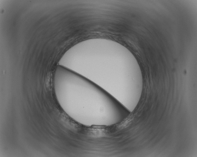 X0000084540233200703091702