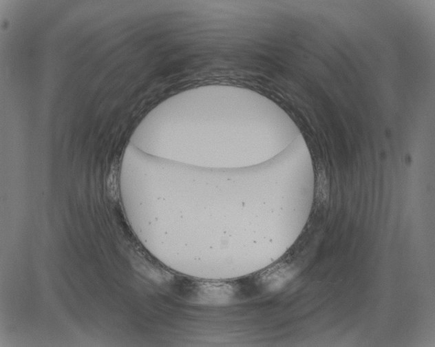 X0000084540234200703091702