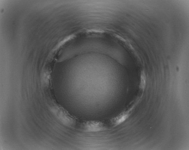 X0000084540235200703091702