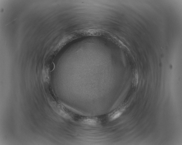 X0000084540236200703091702