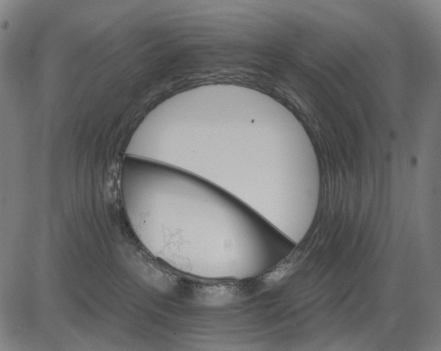 X0000084540237200703091702