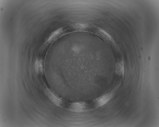 X0000084540238200703091702