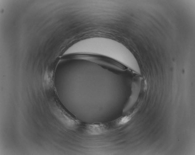 X0000084540239200703091702