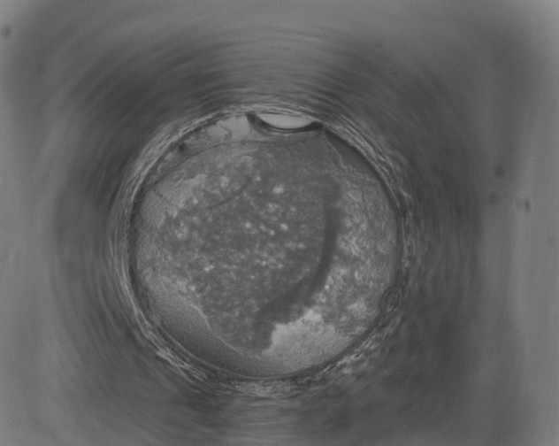 X0000084540241200703091701