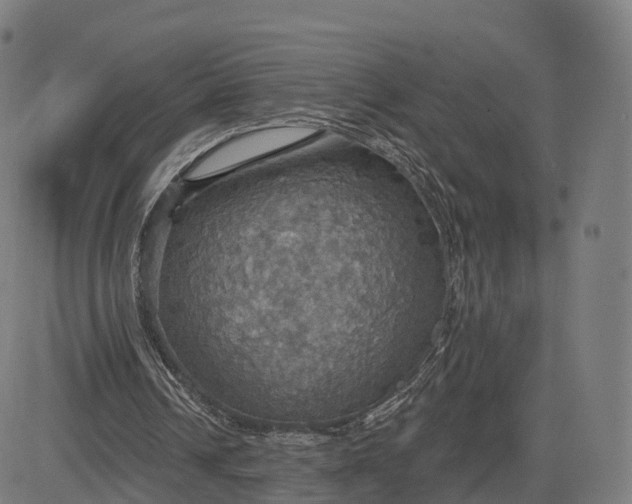 X0000084540242200703091701