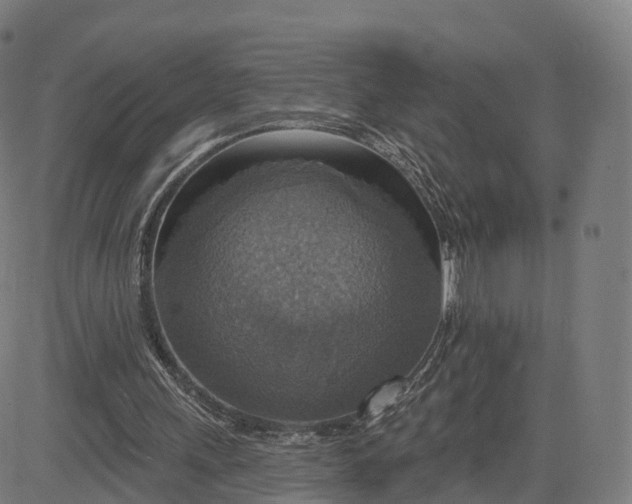 X0000084540243200703091701