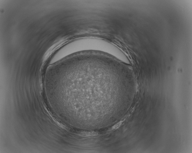 X0000084540245200703091701