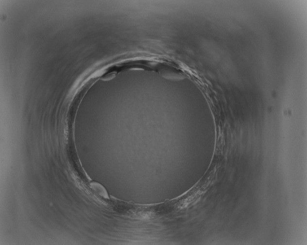 X0000084540247200703091701