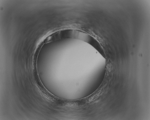 X0000084540248200703091701