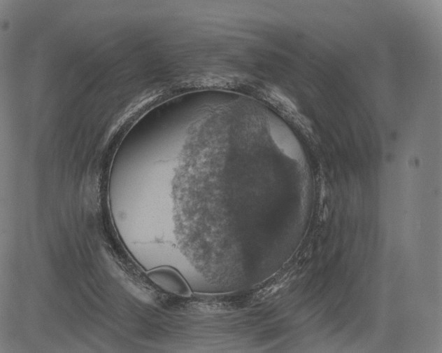 X0000084540250200703091701