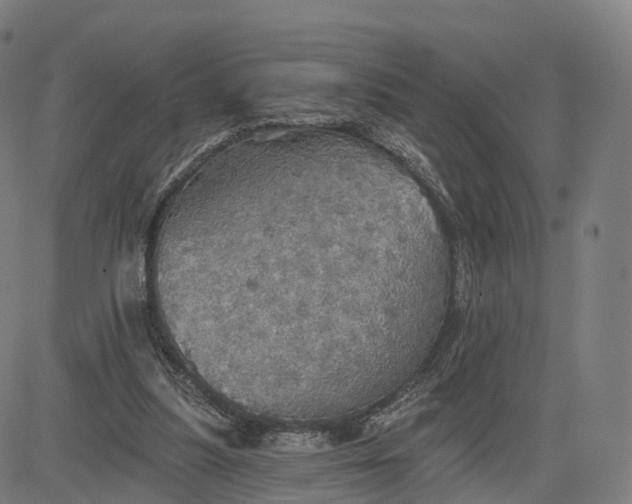 X0000084540251200703091701