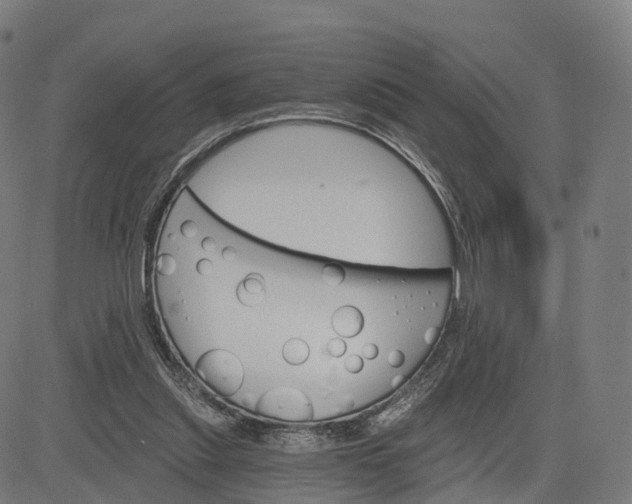 X0000084540253200703091701