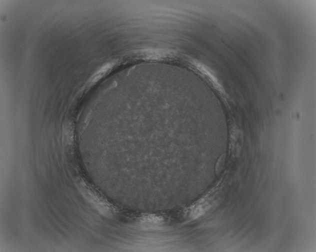 X0000084540257200703091701