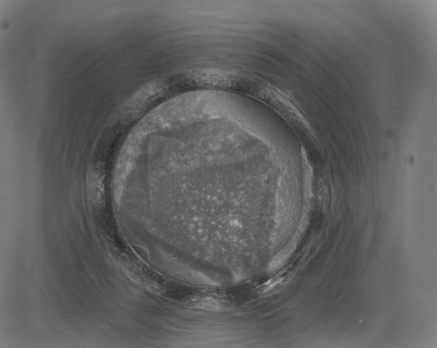 X0000084540259200703091701