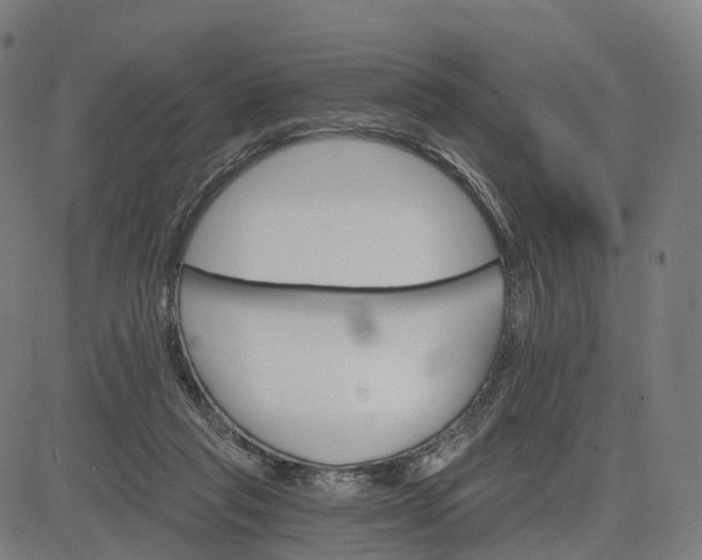 X0000084540261200703091701