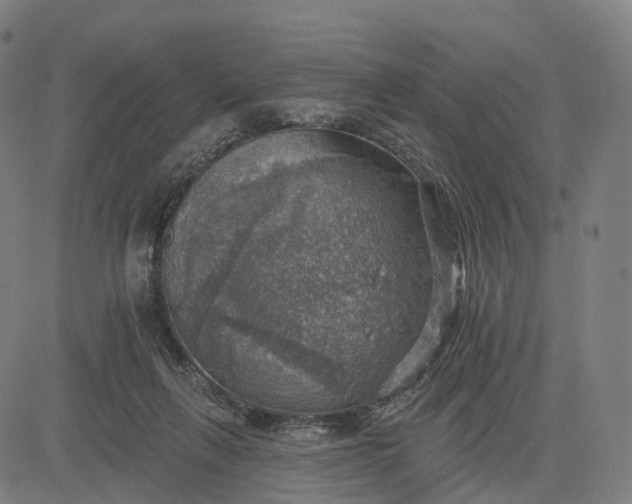 X0000084540263200703091701