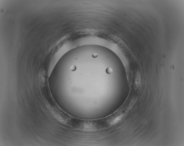 X0000084540264200703091701