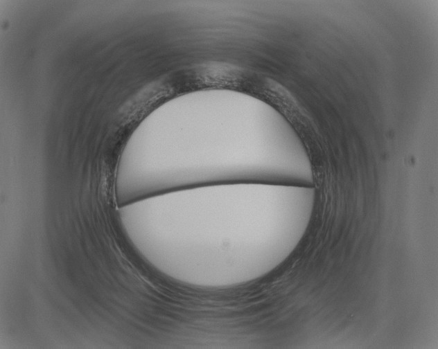 X0000084540266200703091701