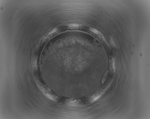 X0000084540267200703091701