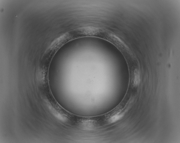 X0000084540268200703091701