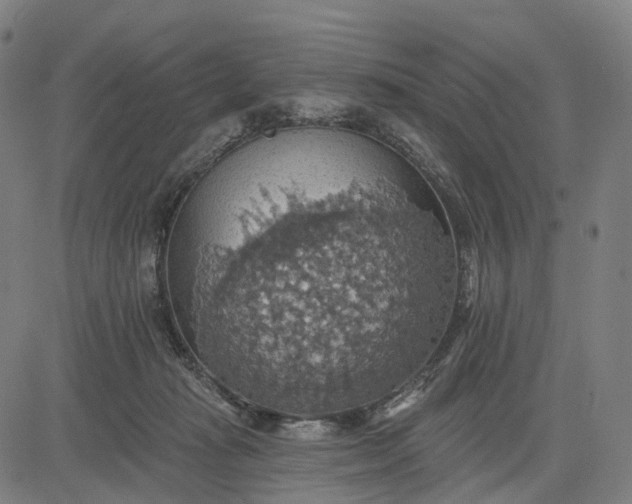 X0000084540269200703091701