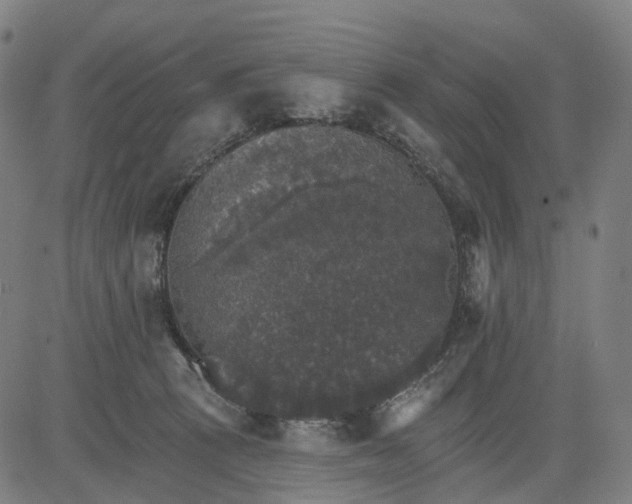 X0000084540273200703091701