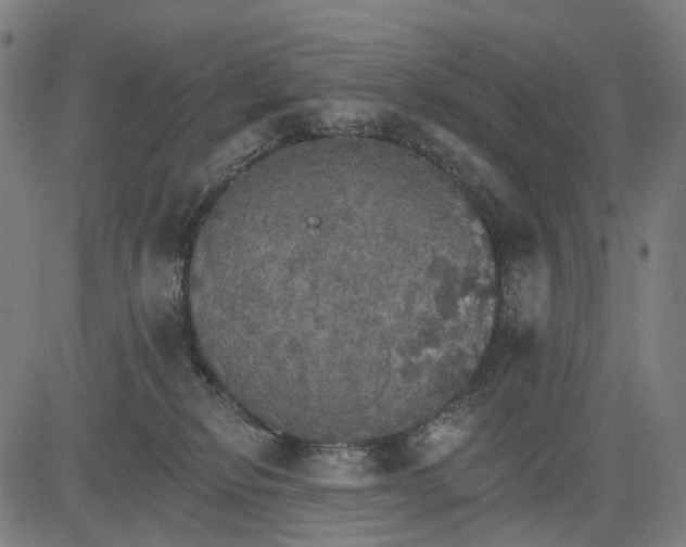 X0000084540278200703091701