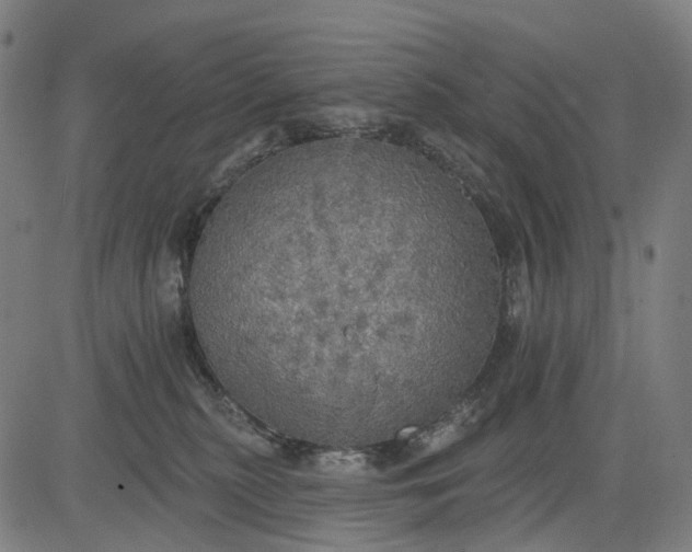 X0000084540279200703091701