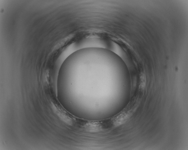 X0000084540280200703091701