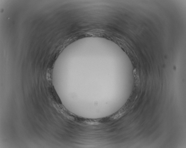 X0000084540284200703091701