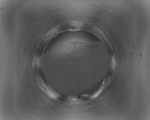 X0000084540285200703091701