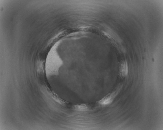 X0000084540286200703091701